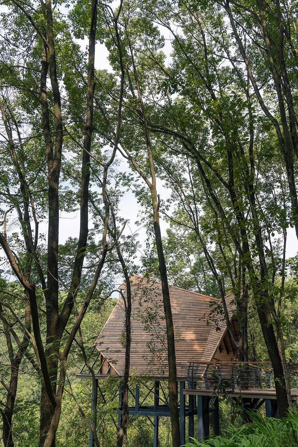 Xiaoxita Forest Park