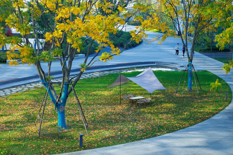 hangzhou alibaba nanhu future science park by ups