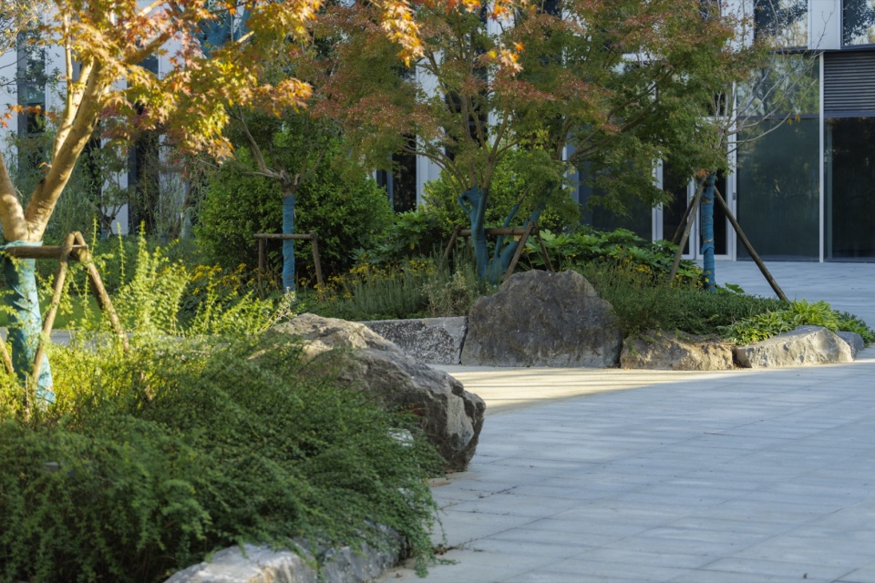 hangzhou alibaba nanhu future science park by ups
