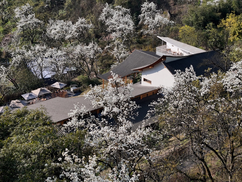 buzzy sunny luzhou by archermit
