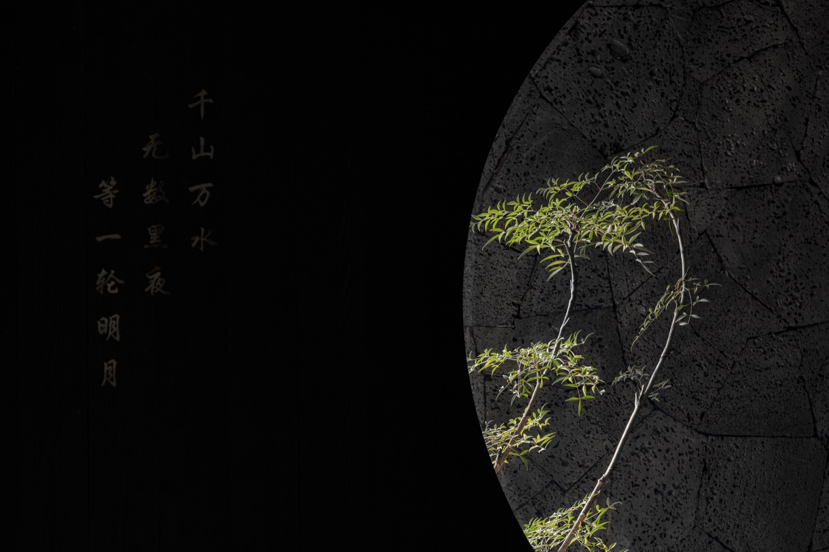 The Dark Light 018