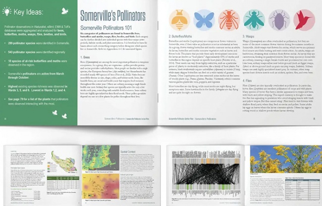 2025 ASLA ANALYSIS AND PLANNING AWARD OF HONOR: Somerville Pollinator Action Plan / Offshoots, Inc.