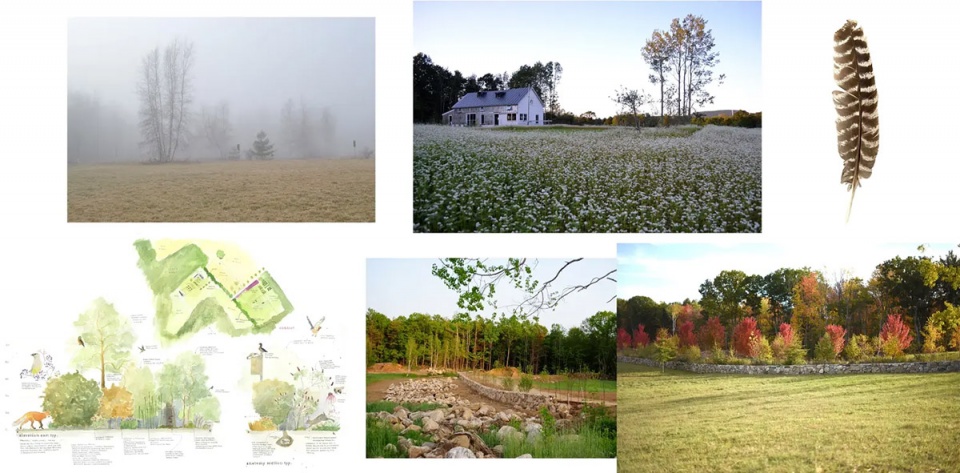 2025 asla residential design award of excellence and the wild comes right up to the door stimson