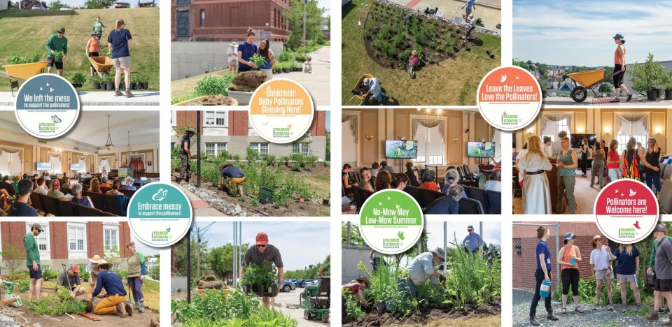 2025 asla analysis and planning award of honor somerville pollinator action plan offshoots inc