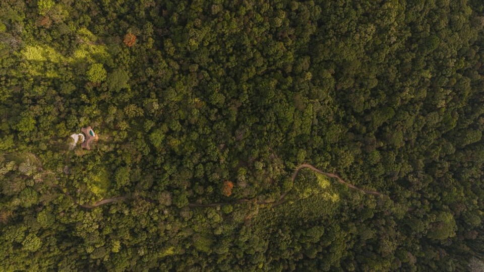 Ojo de Nila by Studio Saxe
