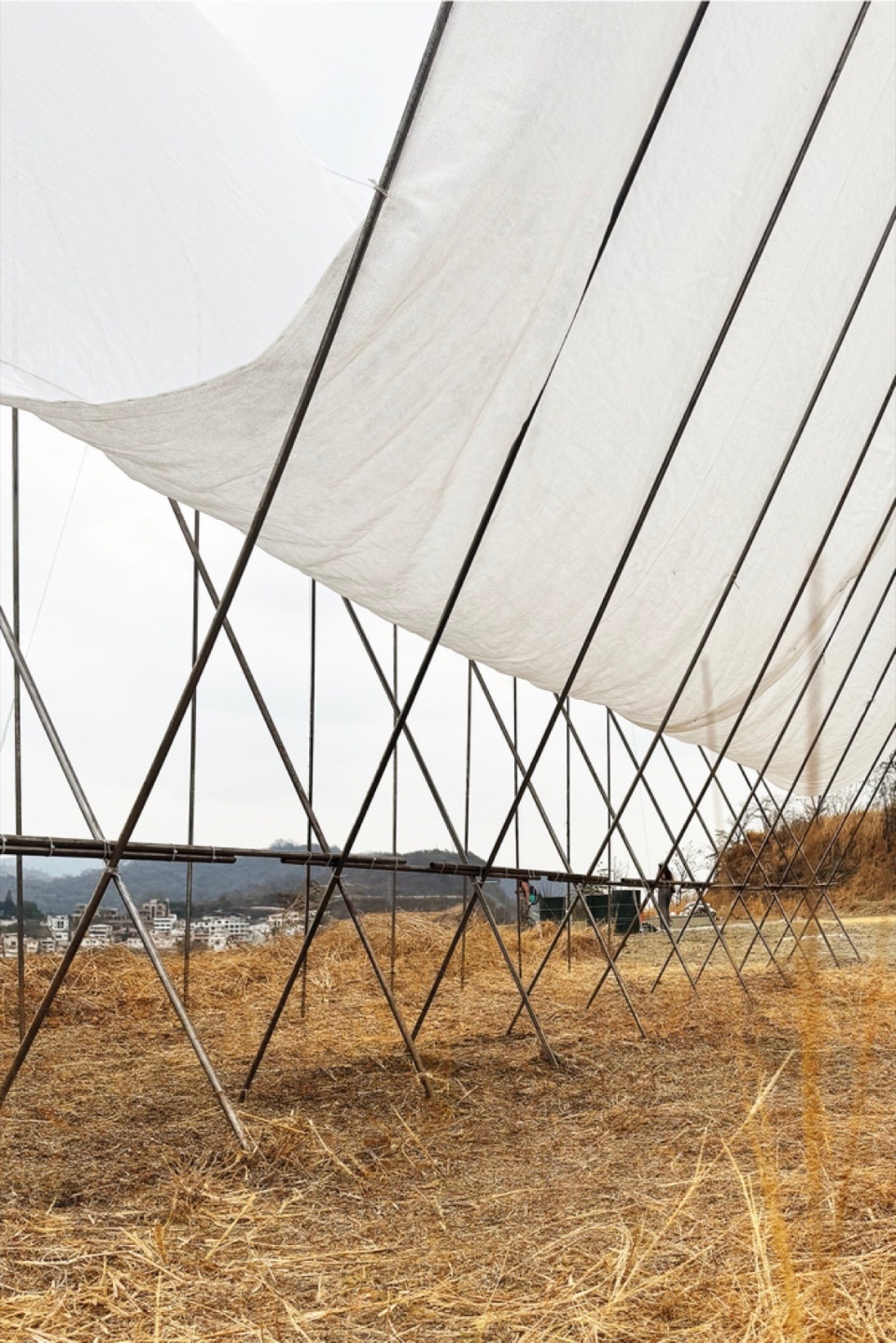 Horizon Pavilion by Eletres Studio