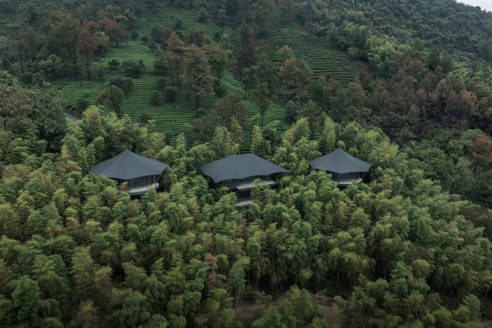Luxury Hidden in the Wild Breathing with Nature by Slow Coral Design
