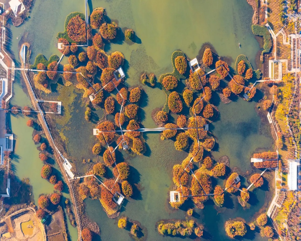 2025 asla general design award of excellence fish tail park in nanchang city turenscape
