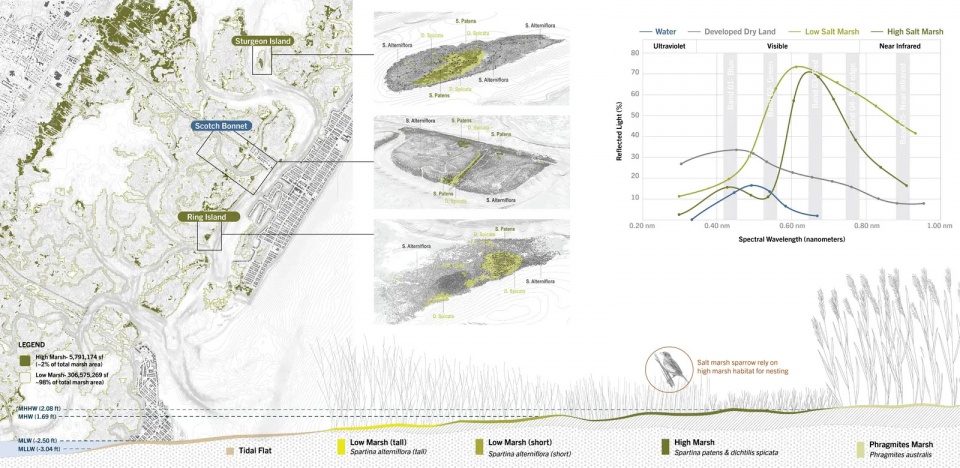 2025 asla research award of honor about time adaptive management for coastal salt marshes emlab the wetlands institute