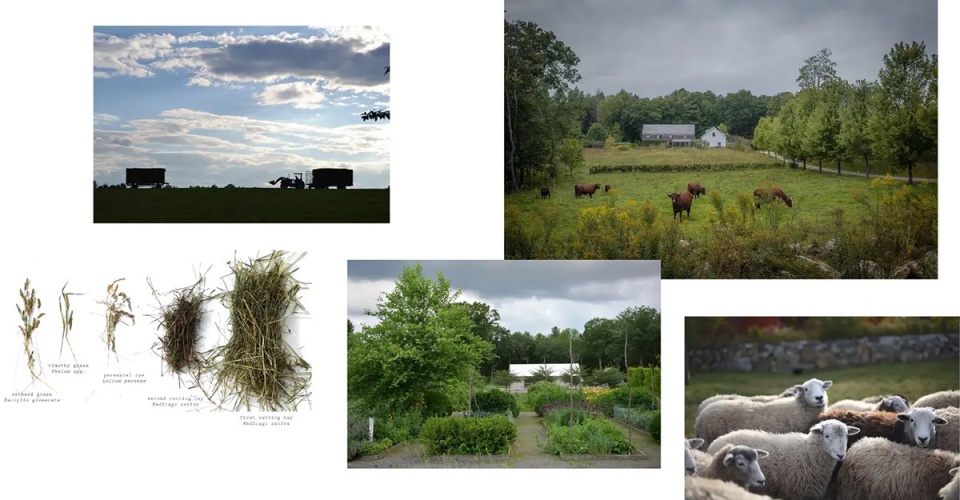 2025 asla residential design award of excellence and the wild comes right up to the door stimson
