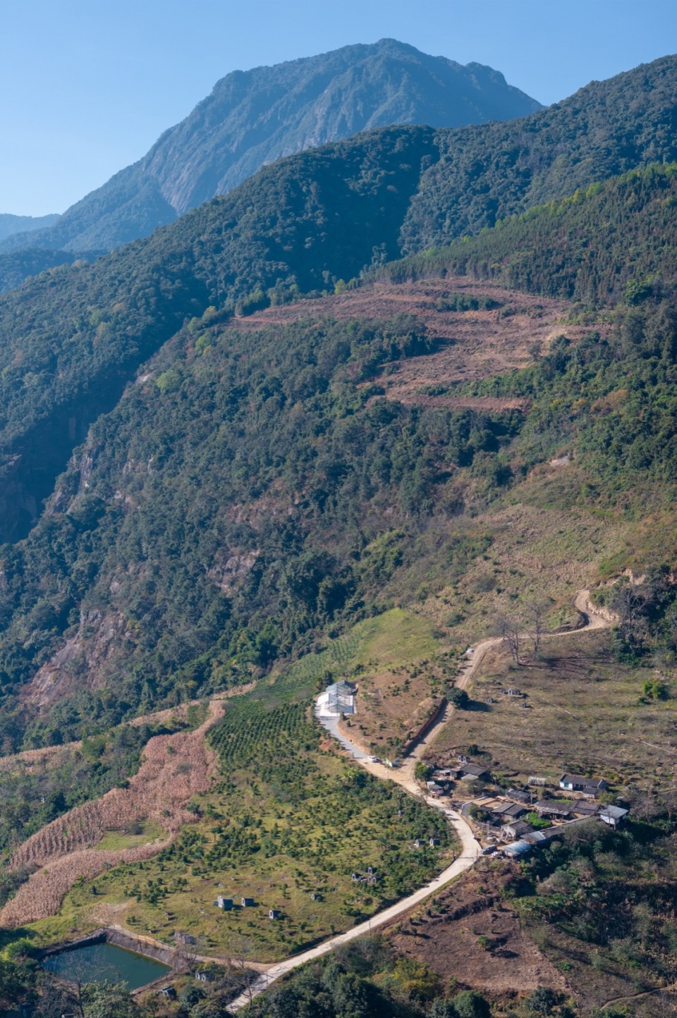 terraweave estate tiantian coffee drying yard in baoshan yunnan by edge architects