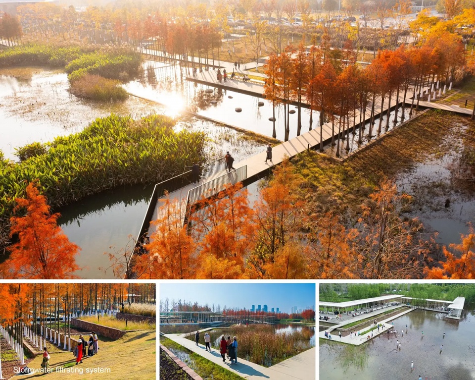 2025 asla general design award of excellence fish tail park in nanchang city turenscape