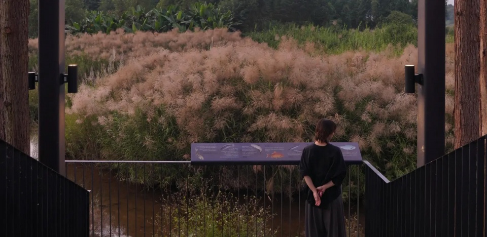 2025 asla general design award of honor guitou wetland park yxdesigners