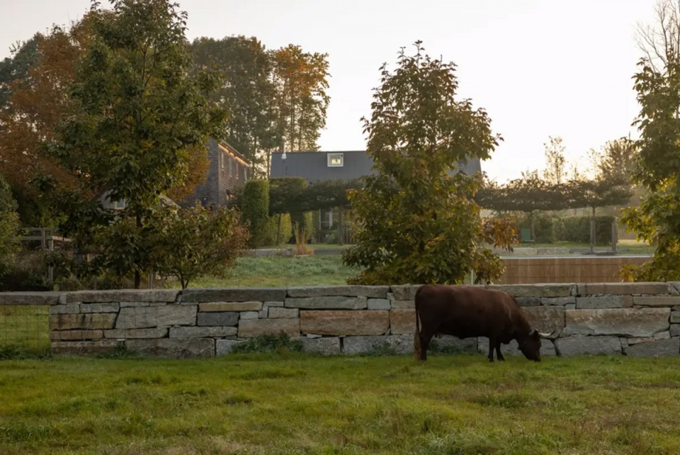 2025 asla residential design award of excellence and the wild comes right up to the door stimson