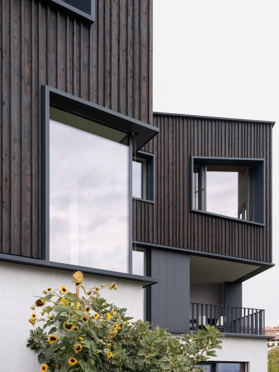 Hometown House by MoDusArchitects