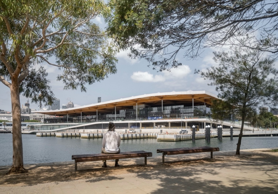 the new sydney fish market opens as a landmark destination