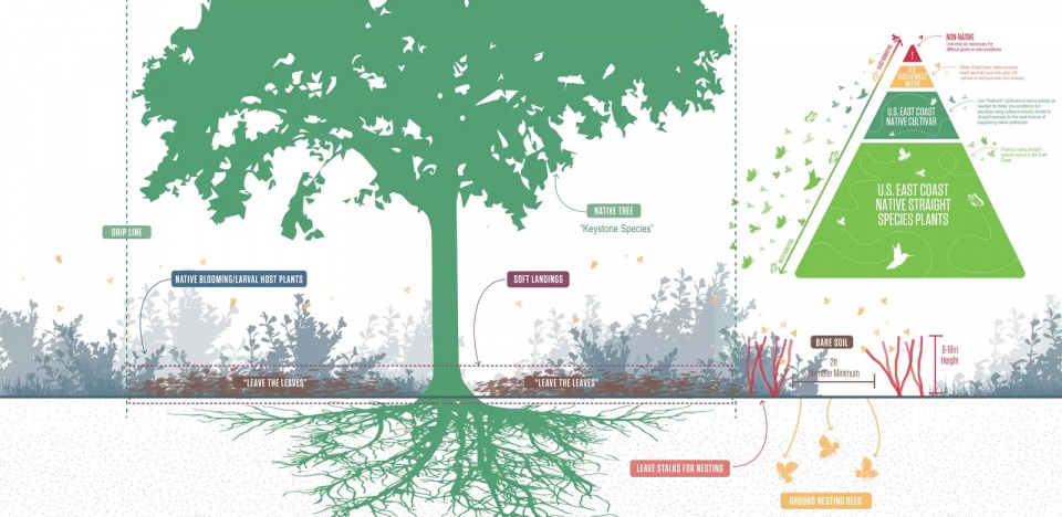 2025 asla analysis and planning award of honor somerville pollinator action plan offshoots inc