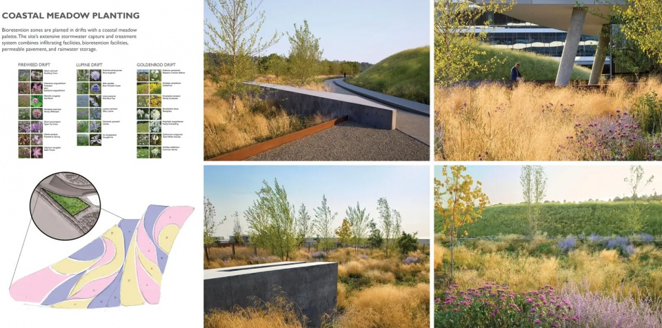 2025 asla general design award of honor the beach at elliott bay surfacedesign inc