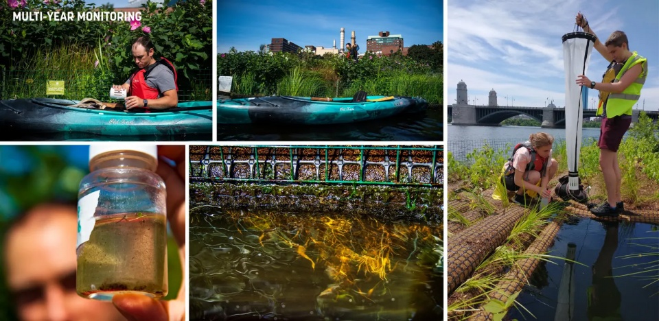 2025 asla research award of honor charles river floating wetland pilot project sasaki associates the hideo sasaki foundation mcnamara rome