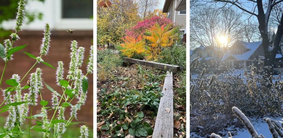 2025 asla residential design award of honor the little project ping design llc