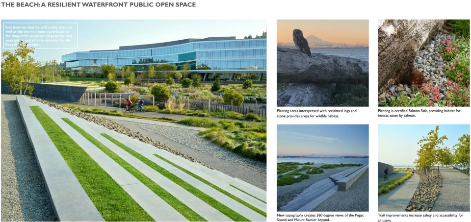 2025 asla general design award of honor the beach at elliott bay surfacedesign inc