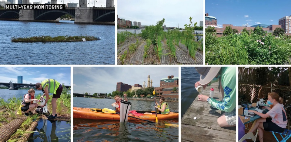 2025 asla research award of honor charles river floating wetland pilot project sasaki associates the hideo sasaki foundation mcnamara rome