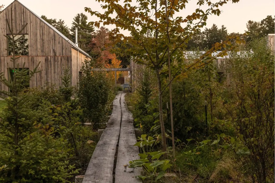 2025 asla residential design award of excellence and the wild comes right up to the door stimson