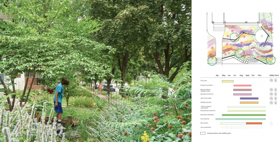 2025 asla residential design award of honor the little project ping design llc