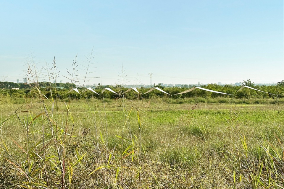 100 Linear Meters Pavilion by Eletres Studio