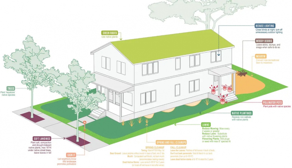 2025 asla analysis and planning award of honor somerville pollinator action plan offshoots inc
