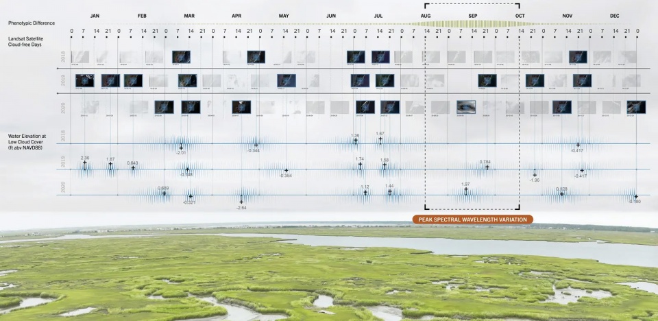2025 asla research award of honor about time adaptive management for coastal salt marshes emlab the wetlands institute