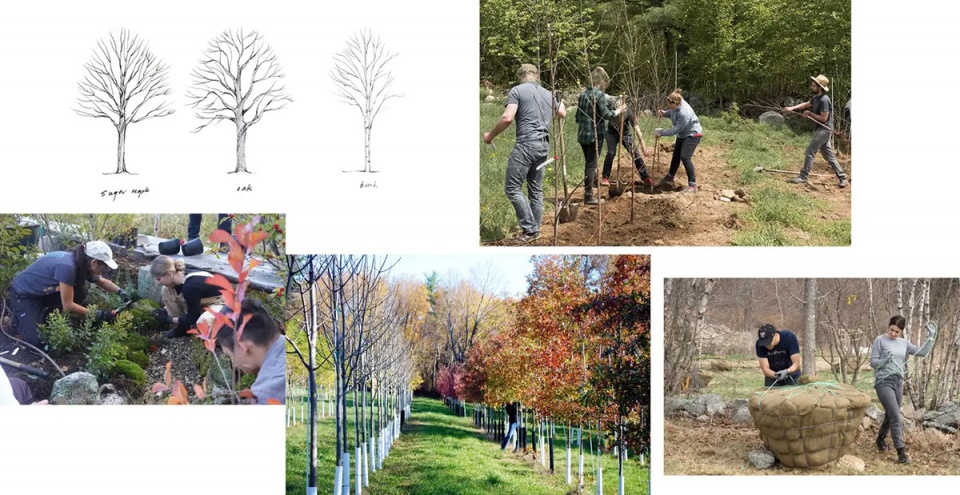 2025 asla residential design award of excellence and the wild comes right up to the door stimson