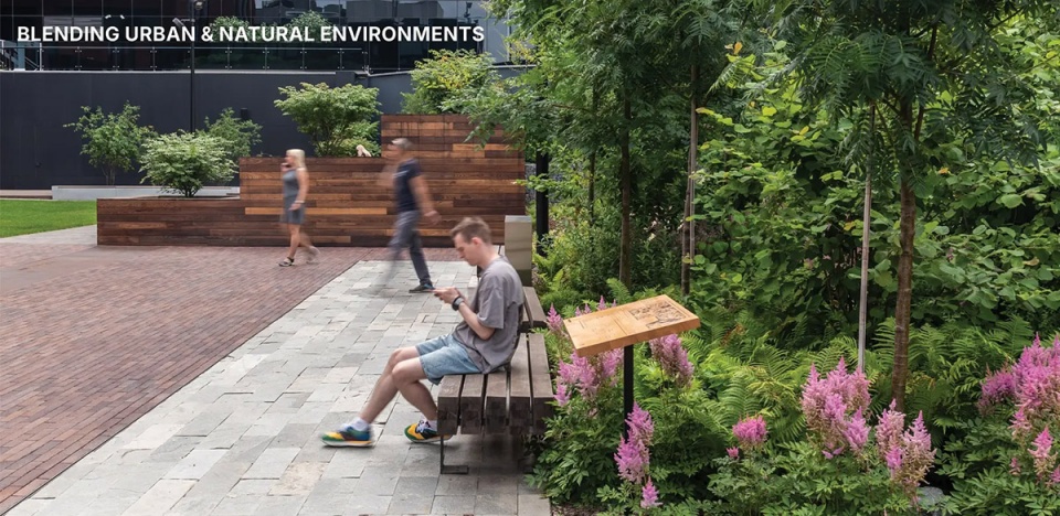 2025 asla urban design award of honor unitcity kotsiuba