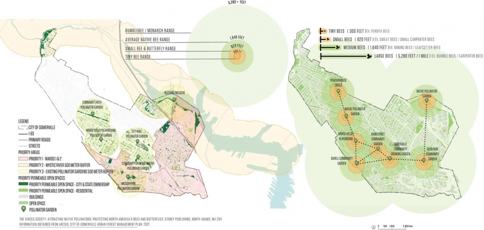 2025 asla analysis and planning award of honor somerville pollinator action plan offshoots inc