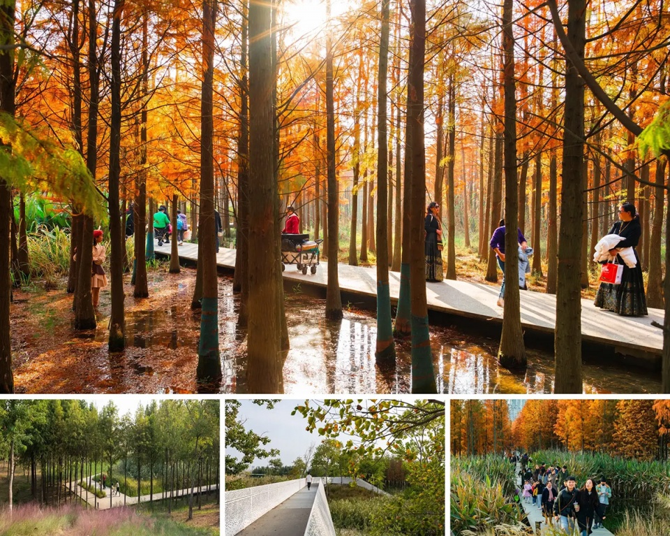 2025 asla general design award of excellence fish tail park in nanchang city turenscape