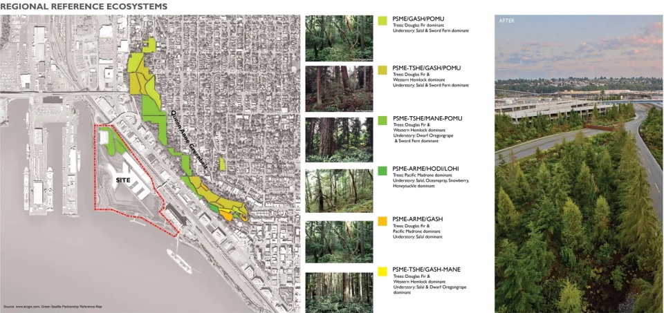 2025 asla general design award of honor the beach at elliott bay surfacedesign inc