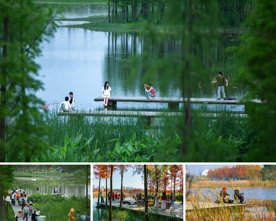 2025 asla general design award of excellence fish tail park in nanchang city turenscape