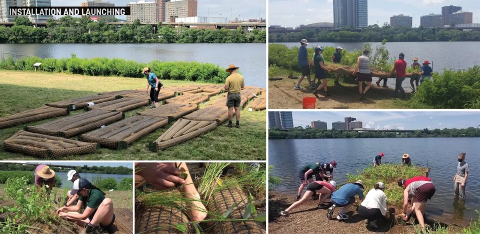 2025 asla research award of honor charles river floating wetland pilot project sasaki associates the hideo sasaki foundation mcnamara rome