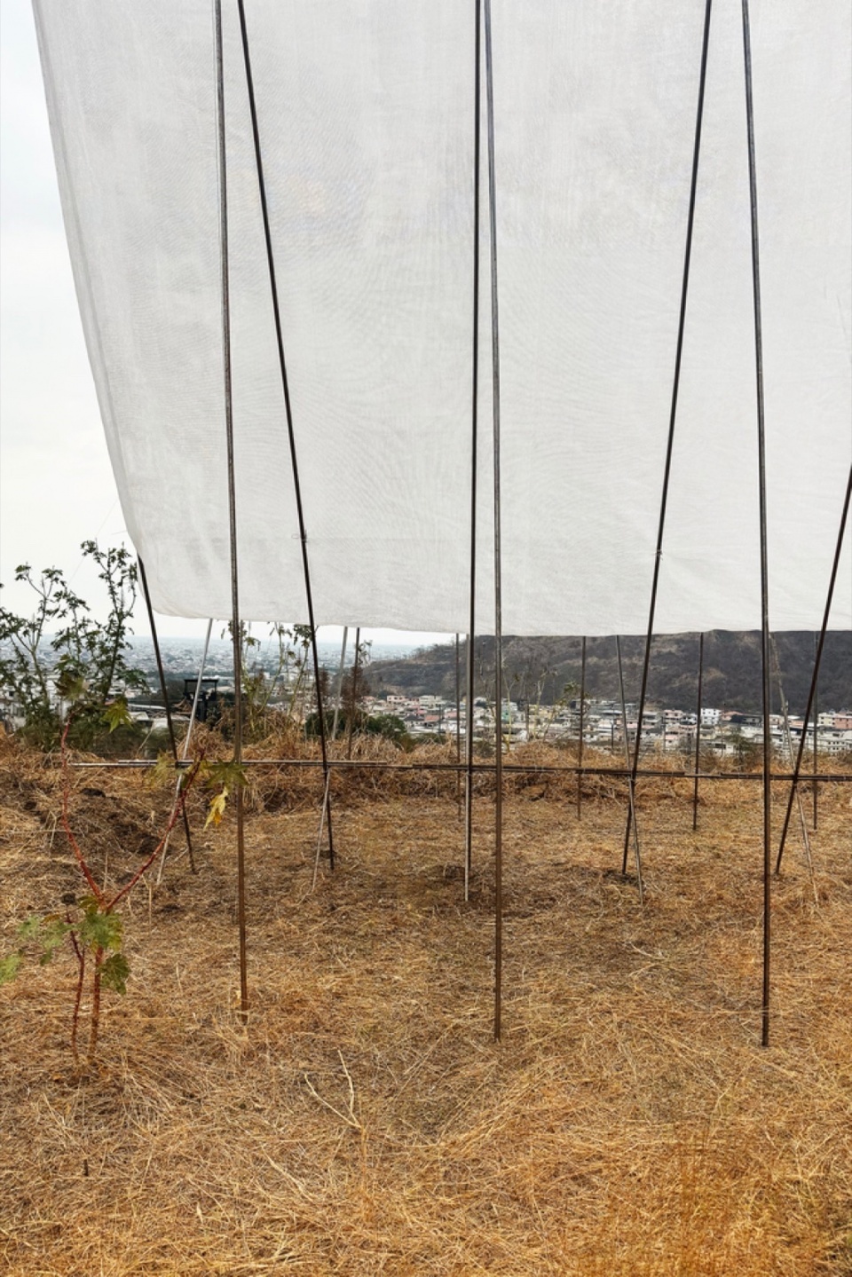 Horizon Pavilion by Eletres Studio