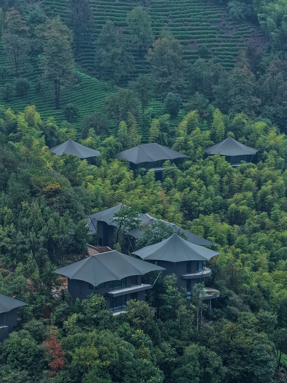 Luxury Hidden in the Wild Breathing with Nature by Slow Coral Design