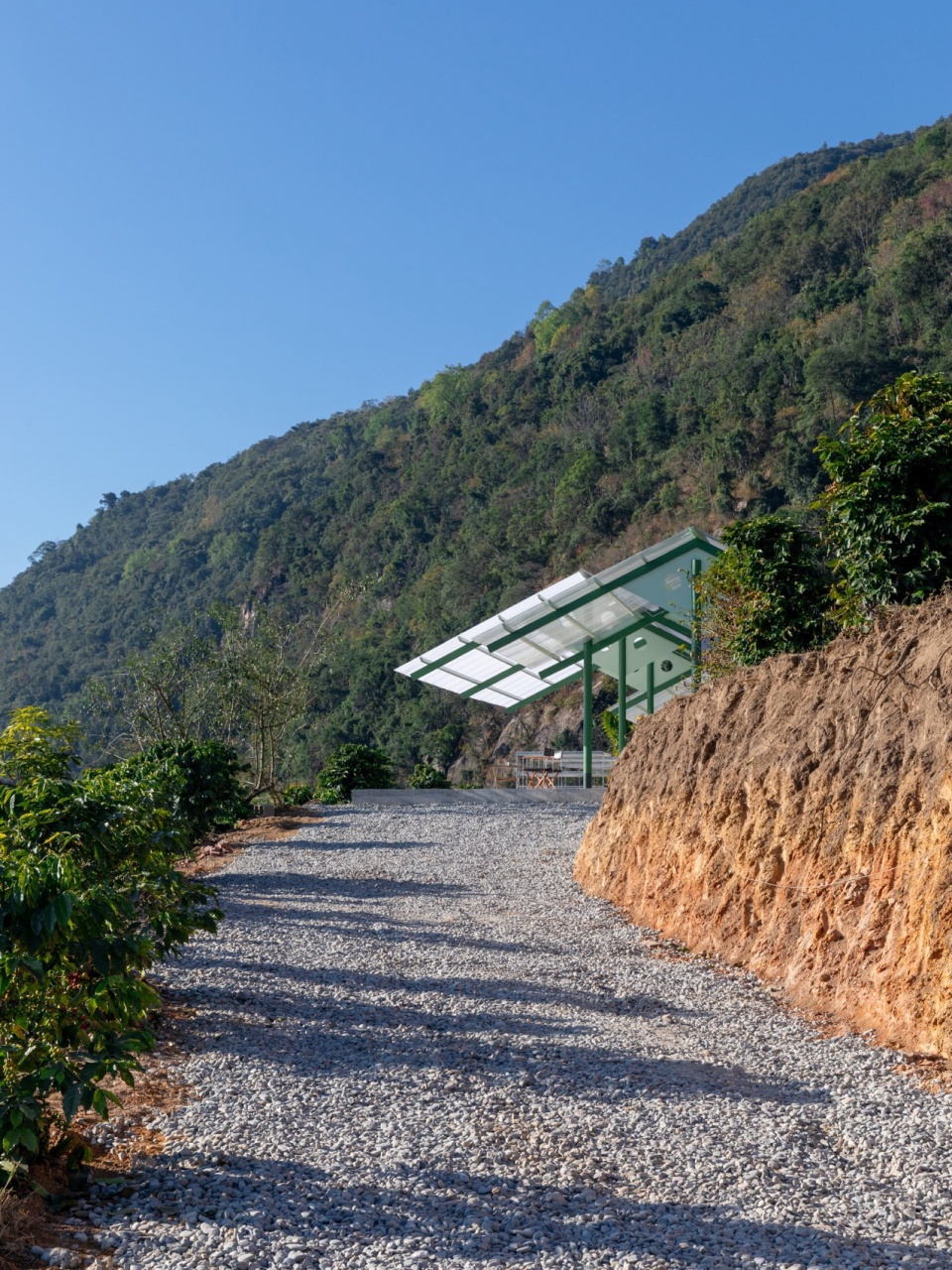 terraweave estate tiantian coffee drying yard in baoshan yunnan by edge architects