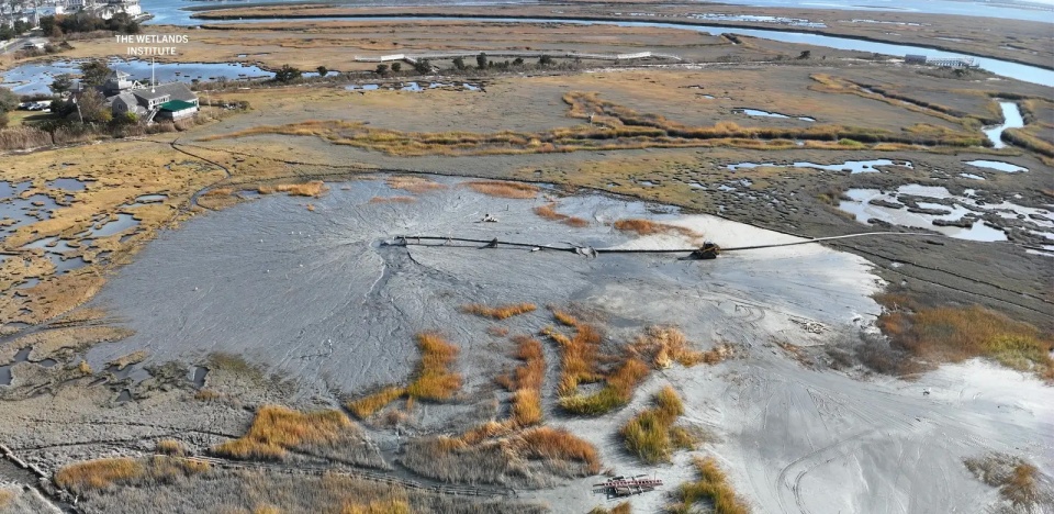 2025 asla research award of honor about time adaptive management for coastal salt marshes emlab the wetlands institute