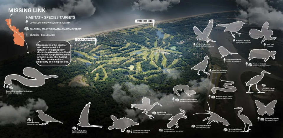 2025 asla ifla analysis and planning award of global impact testing ground adapting fairways to resilient barrier isle ecosystems design...