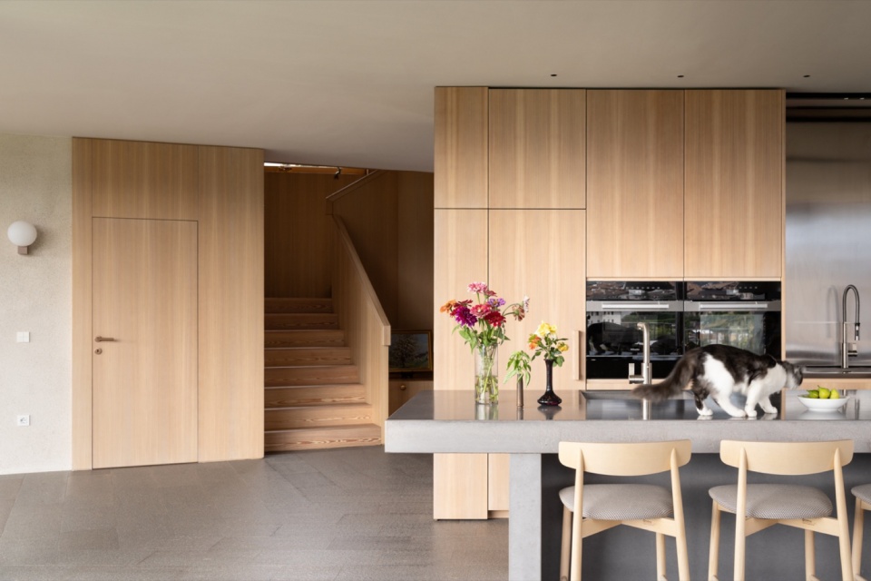 Hometown House by MoDusArchitects