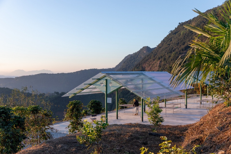 terraweave estate tiantian coffee drying yard in baoshan yunnan by edge architects