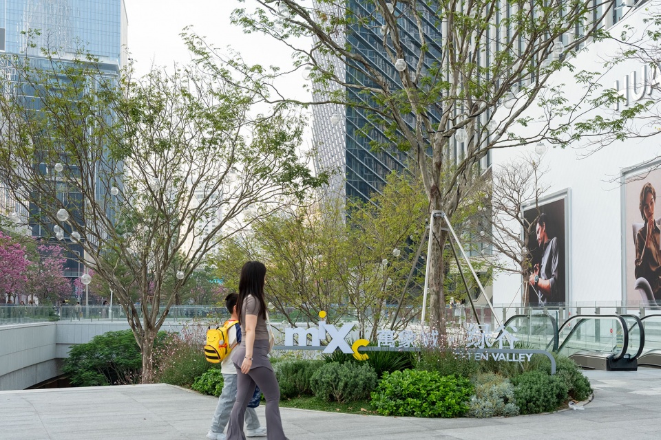 The Shenzhen Bay Phase II