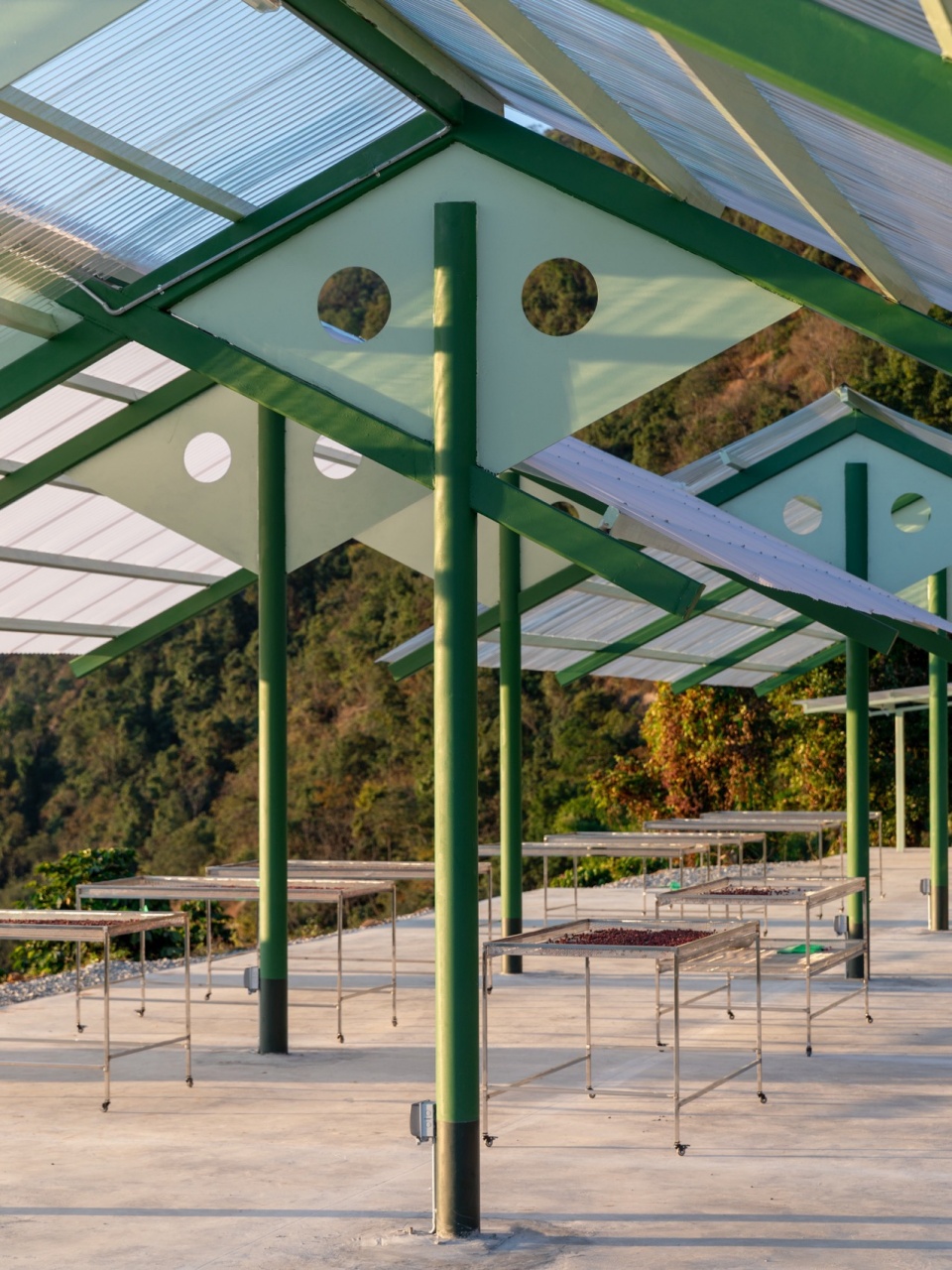 terraweave estate tiantian coffee drying yard in baoshan yunnan by edge architects