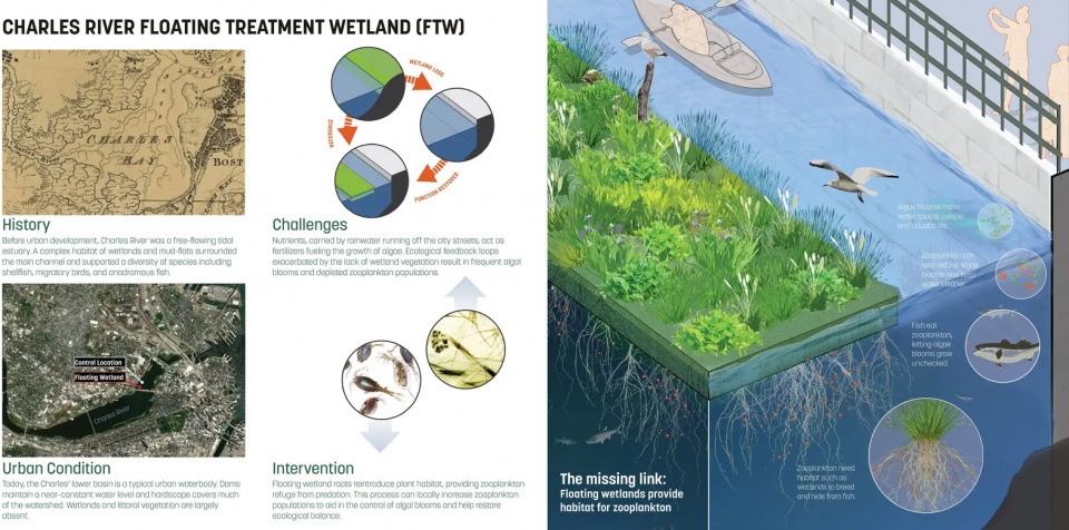 2025 asla research award of honor charles river floating wetland pilot project sasaki associates the hideo sasaki foundation mcnamara rome