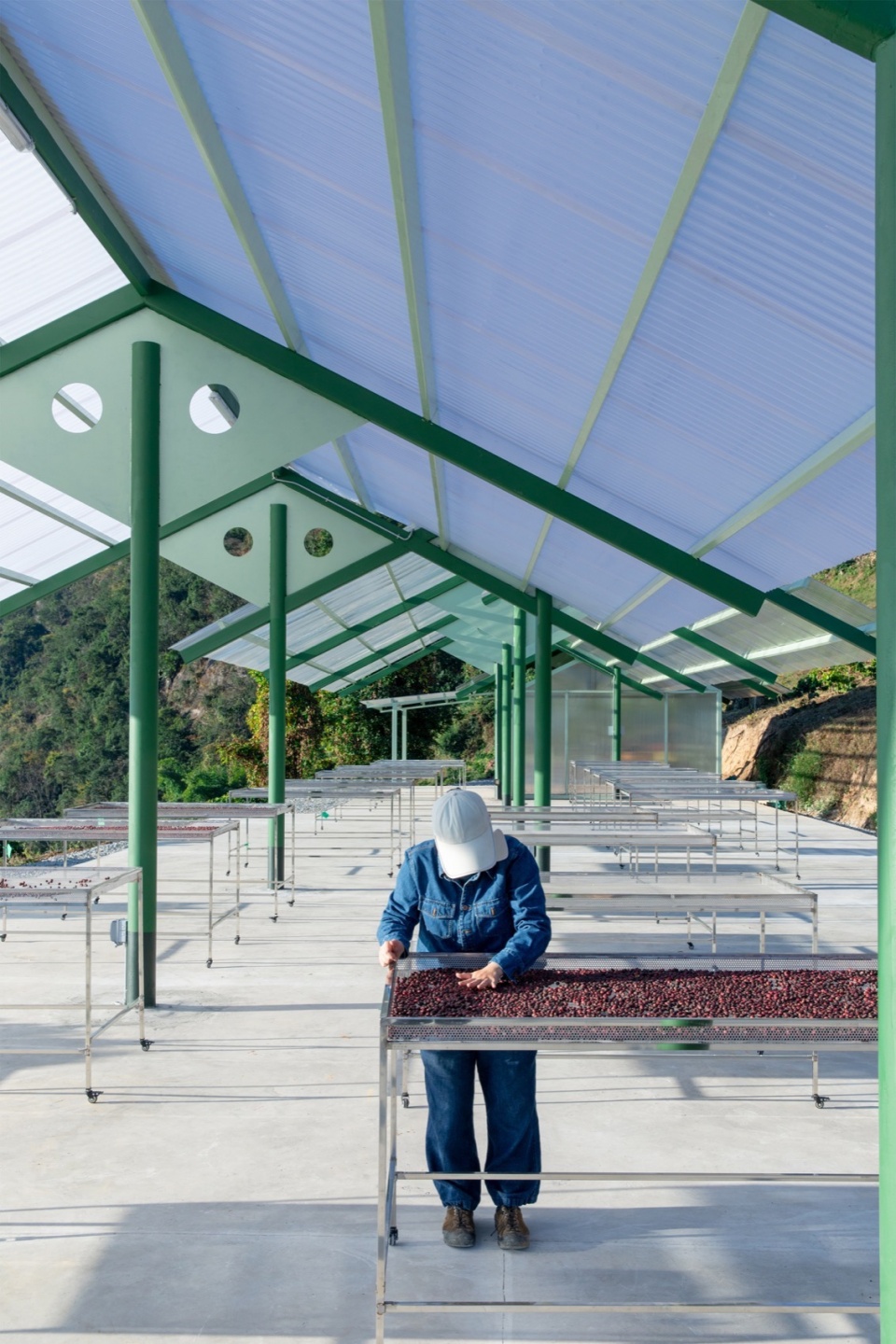 terraweave estate tiantian coffee drying yard in baoshan yunnan by edge architects