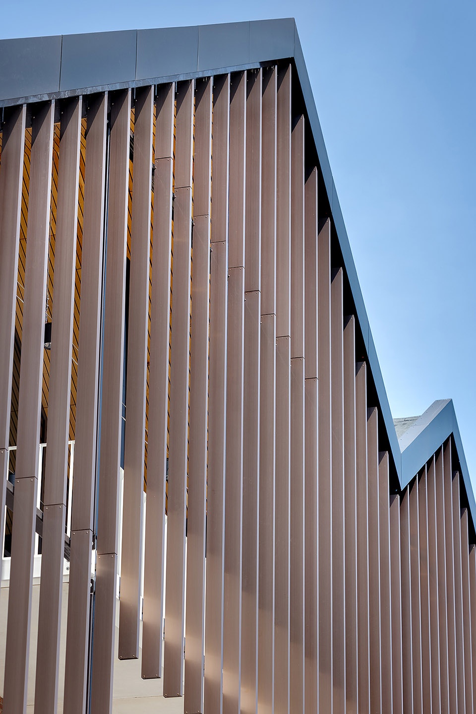 BRUIS by GROUP A Fabrique ABT